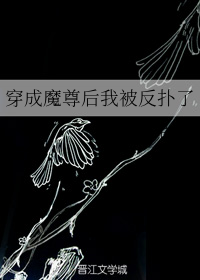 穿成魔尊后我被反扑了