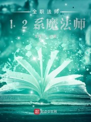 全职法师12系魔法师